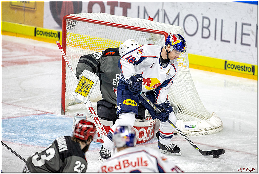 DEL; Koelner Haie - EHC Red Bull Muenchen, 17.02.2019